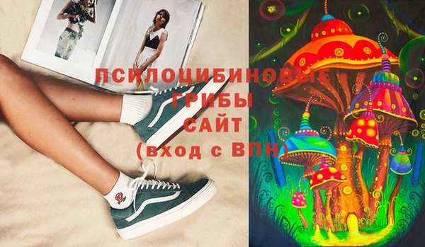 дживик Белокуриха