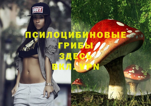 дживик Белокуриха