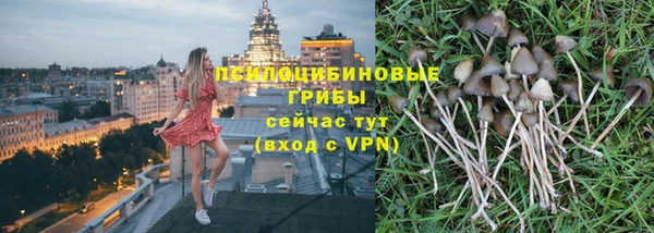 PSILOCYBIN Белоозёрский