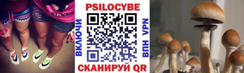 наркота  мега рабочий сайт  Галлюциногенные грибы Cubensis  Красноармейск 