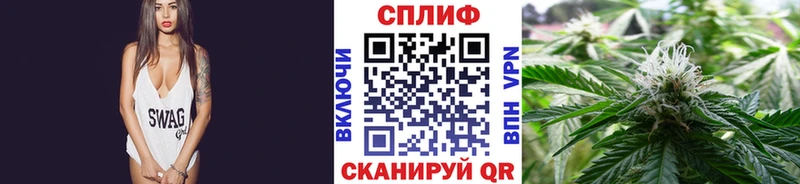 Каннабис сатива  Красноармейск 
